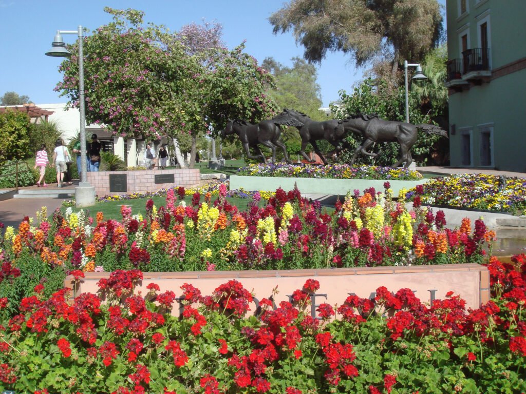 Scottsdale
